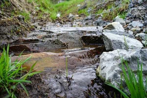 Küçük bir dere yeşil çimenler ve toprakla çevrili kayalık bir yatağın içinden akar. Düz taşların üzerinden akan suyun yakın çekimi tazelik ve doğal sükunet hissi verir..