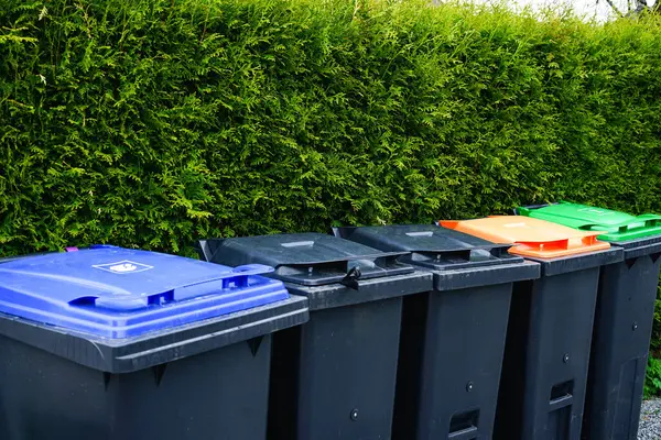 Ayrı atık toplama için farklı renklerde kapaklı bir sıra çöp kutusu: plastik, kağıt, cam, organik atık ve genel çöp. Geri dönüşüm, sürdürülebilirlik ve çevre dostu atık yönetimi kavramı.