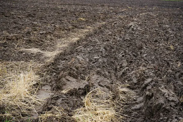 Tarım tarlaları derin tarlalar, ıslak toprak, ve hasattan sonra kuru saman kalıntıları. Kırsal tarım arazisi, tarım temaları, mevsimsel tarım ve doğal dokular için uygundur..
