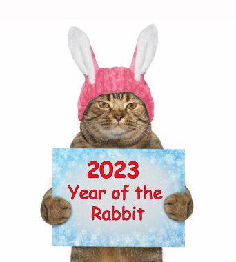 Tavşan kulaklı bej bir kedinin elinde 2023 yılbaşı tabelası var. Beyaz arka plan. İzole edilmiş.