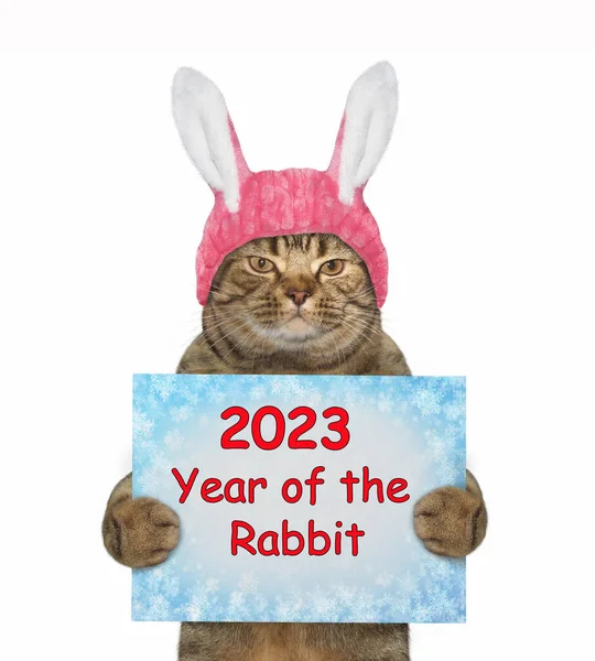 Tavşan Kulaklı Bej Bir Kedinin Elinde 2023 Yılbaşı Tabelası Var — Stok fotoğraf