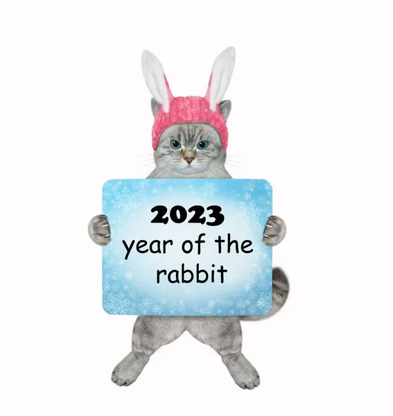 Попелиця Кролячих Вухах Має 2023 Новорічний Знак Білий Фон Ізольовані — стокове фото