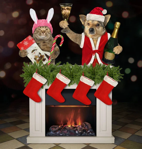 A beige cat in rabbit ears and a dog are at a fireplace decorated with Christmas boots.