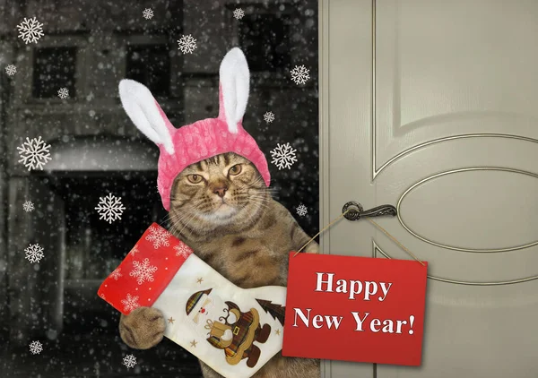 A beige cat in rabbit ears with the christmas boot is at an open door.