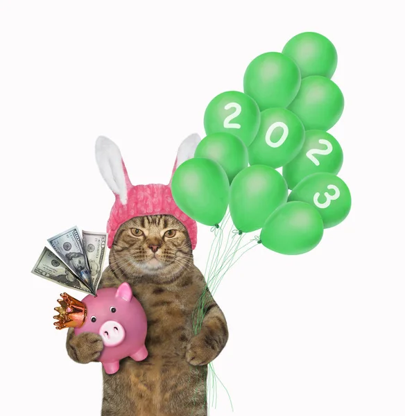 Beige Katt Kaninöron Håller Lastrumsbank Och Gröna Ballonger Vit Bakgrund — Stockfoto