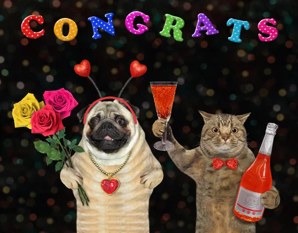 A dog pug with a beige cat with a bottle of wine and a bouquet of roses have fun at the party. Congrats.