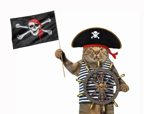 A beige cat holds a pirate flag and a helm of a ship. White background. Isolated.