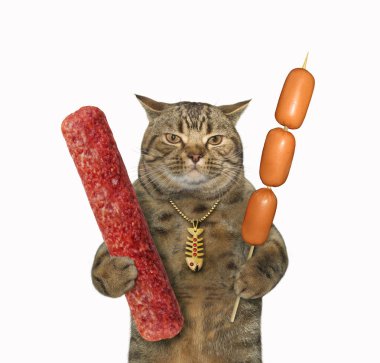 A beige cat holds a dry sausage and a sausage skewer. White background. Isolated.