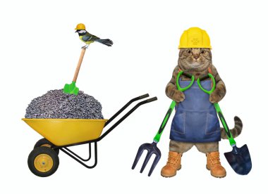 A beige cat builder with a shovel and a pitchfork is near a wheelbarrow full of crushed stone. White background. Isolated.