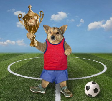 Futbol sahasında altın bardaklı bej renkli bir köpek labrador var..