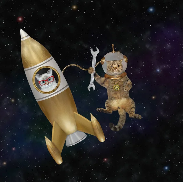 A beige cat astronaut space mechanic is fixing a rocket in outer space against the background of stars.