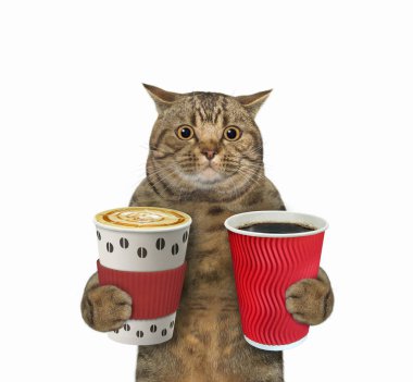 Bej renkli bir kedi iki fincan kahve tutar. Beyaz arka plan. İzole edilmiş.