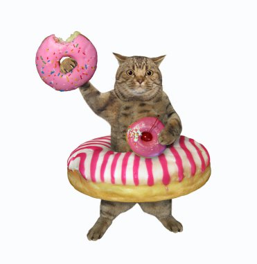 Belinde pembe çörek olan bej bir kedi. Beyaz arka plan. İzole edilmiş.