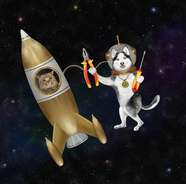 A dog husky astronaut space mechanic is fixing a rocket in outer space against the background of stars.