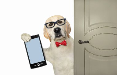 Gözlüklü köpek labrador ve kapının yanında akıllı telefon. Beyaz arka plan. İzole edilmiş.