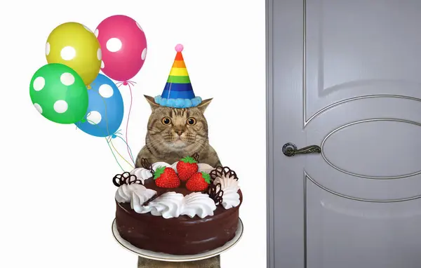 A beige cat in a party hat with a holiday pizza and balloons near a door