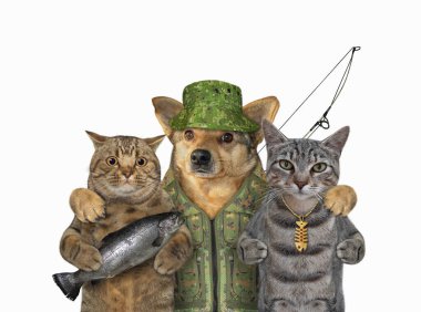 Bej renkli bir köpek balıkçısı iki kediye sarılır. Beyaz arka plan. İzole edilmiş.