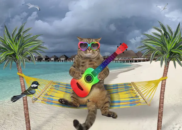 A beige cat in sunglasses plays the guitar in a hammock on the seashore.