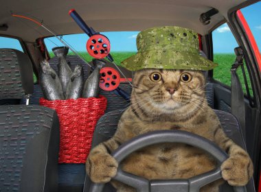 Arabada bir sepet balık tutan bej bir kedi balıktan dönüyor..