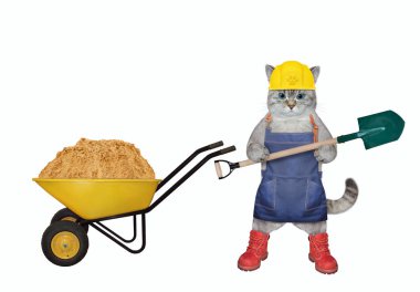 Kürekli küllü bir kedi müteahhidi kum dolu bir el arabasında. Beyaz arka plan. İzole edilmiş.