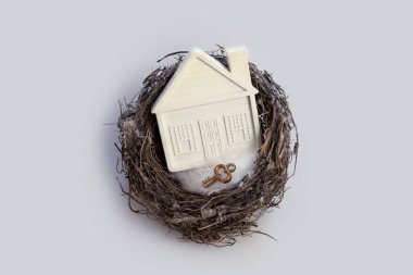 Model of a house in a bird nest. The concept of a family nest, a cozy home and a secure property, buying real estate, your own home. Selective focus