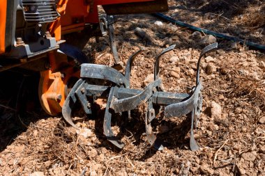 Çiftçi, bahçedeki araziyi yürüme gerisindeki traktörle işliyor. Çiftçilik kavramı.