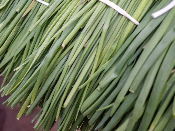 yeşil yapraklar, bitkiler ve yapraklar