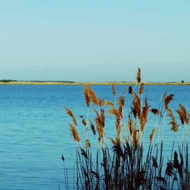 Gölün güzel manzarası