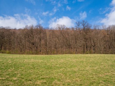 Ülkenin bahar manzarası