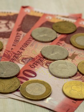 Polonya zlotisi ve madeni paralar