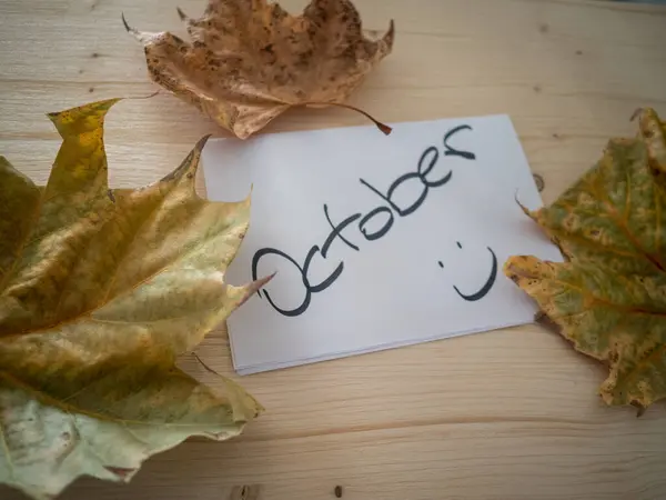 Ahşap arka planda sonbahar yaprakları