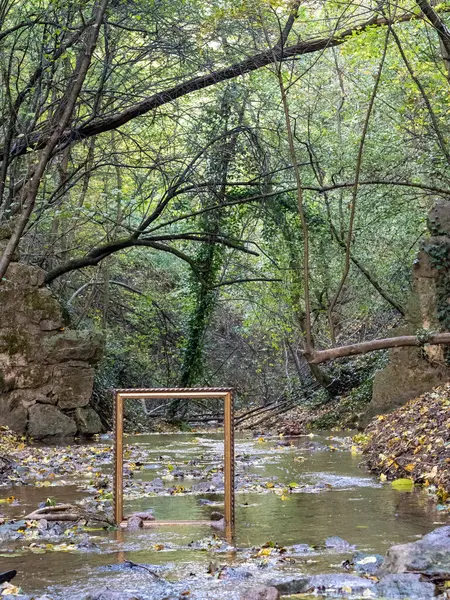 Ormanın ortasında güzel bir tahta köprü manzarası.