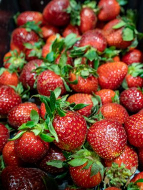 Taze olgun çilek yakın çekim