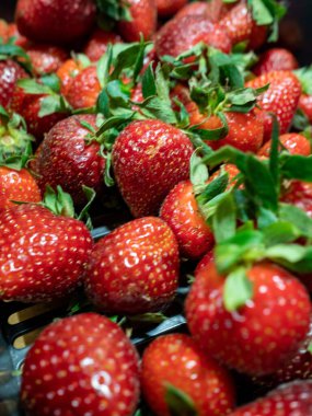 taze organik kırmızı çilek