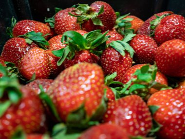 bir kutu içinde olgunlaşmış taze çilek.