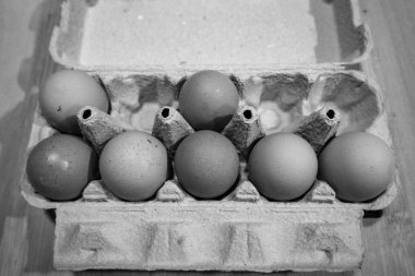 tavuk yumurta kutusu