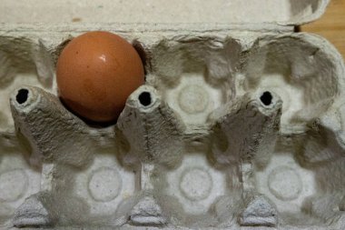 Tavuk yumurta karton kutu içinde.