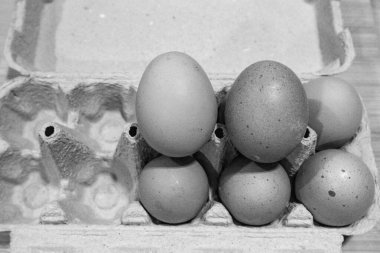 Yuvadaki yumurtalar. Paskalya tatili arka planı.