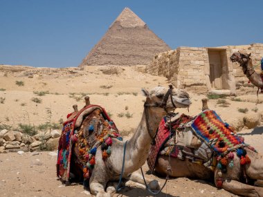 Kahire 'deki Giza Piramitleri. MısırName