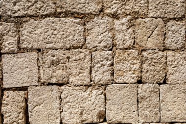 Siyah ve beyaz olarak denize atlamak