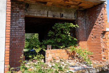 Siyah ve beyaz olarak denize atlamak