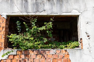 Siyah ve beyaz olarak denize atlamak