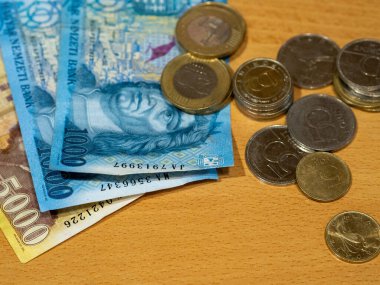 Czech Cumhuriyeti, Czech Cumhuriyeti parası, Czech parası