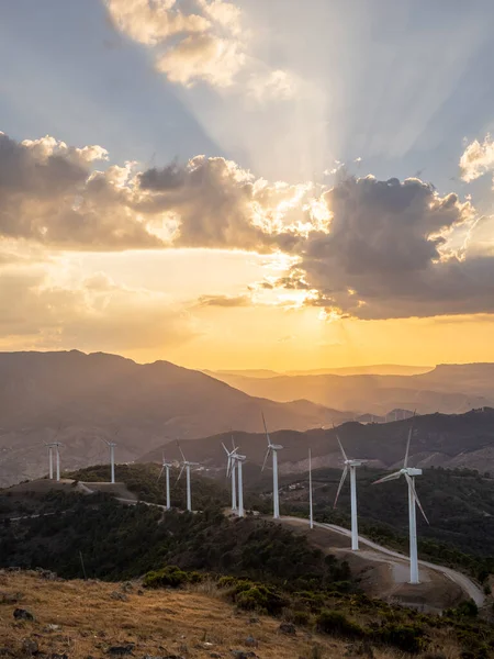 Відновлювана Енергія Допомогою Вітрових Турбін Зображення Лісової Дороги Проходить Через — стокове фото
