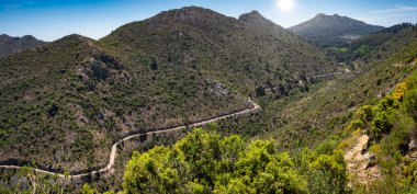 Yalnız ve vahşi bir vadide virajlı bir yol