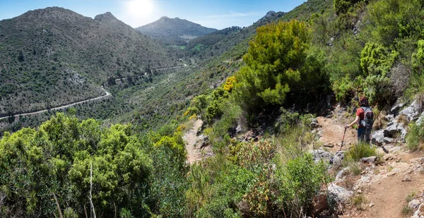 Frau Wandert Auf Einem Gewundenen Pfad Durch Das Tal Andalusien — Stockfoto