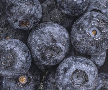 Su damlalı yabanmersini grubunun makro fotoğrafı..