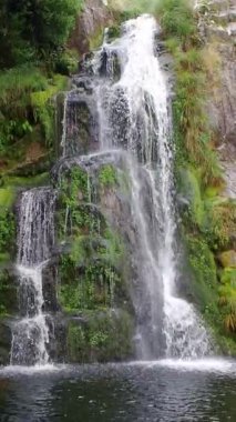 Ormanda şelale