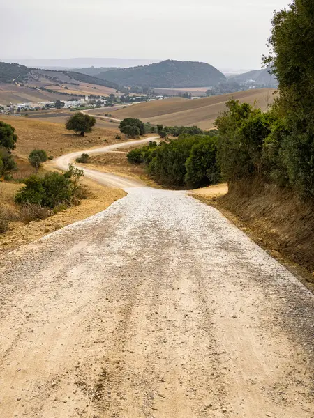 stock image Beautiful landscape with fields and mountains in Andalucia, Spain