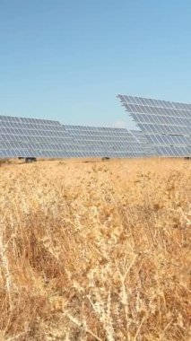 Yaz için kurumuş çiçek tarlasının ortasındaki güneş panelleri. Fotovoltaik enerji, alternatif ve sürdürülebilir enerji.